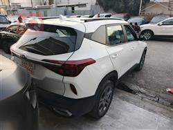 کیا سێلتۆس